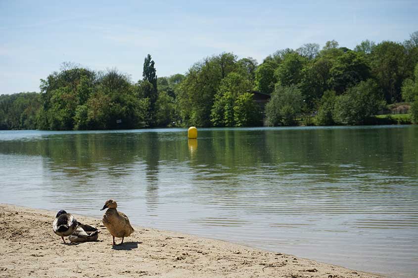 La Plage De Meaux Marin Deau Douce